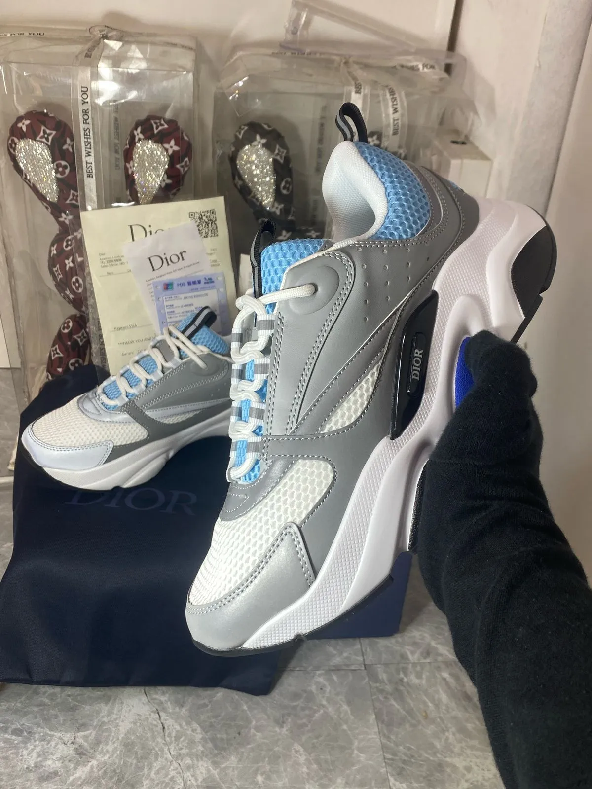 DIOR B22 Trainers